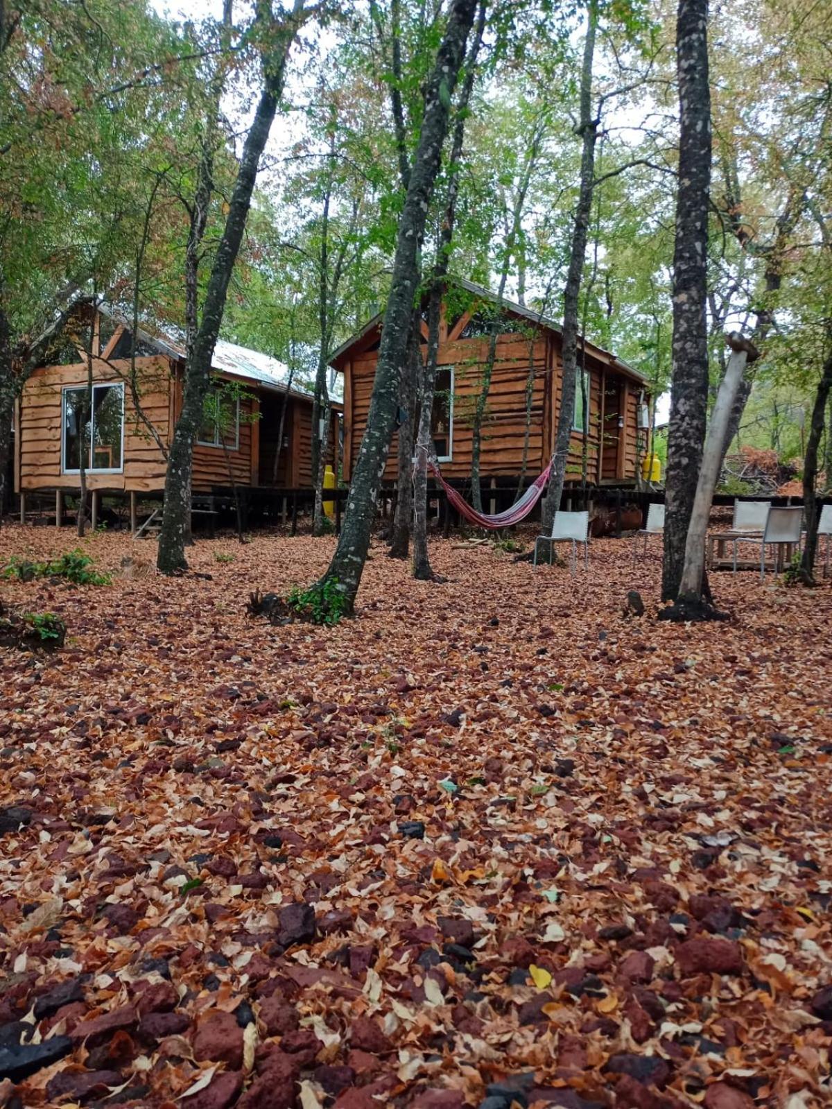 Cabanas Huilipan Las Trancas Exterior foto